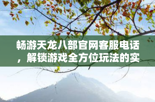解锁游戏全方位玩法的实用指南天龙八部私服图片