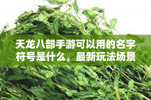 最新玩法场景装备等名字符号全解析天龙私服图片
