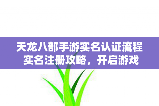 天龙八部手游实名认证流程 实名注册攻略图片
