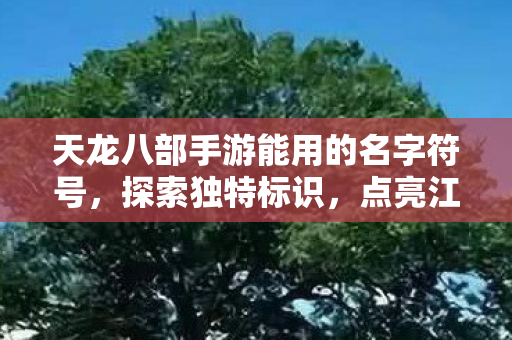 天龙八部手游能用的名字符号图片