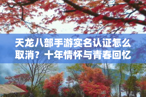 十年情怀与青春回忆下的实测认证揭秘图片