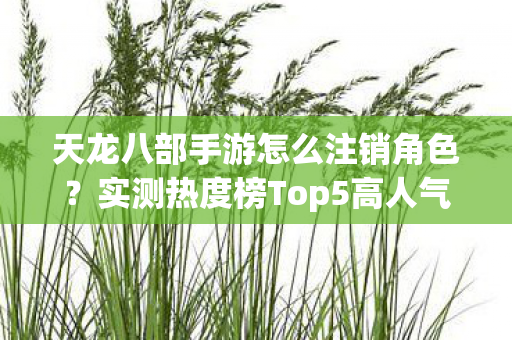 实测热度榜Top5高人气服图片