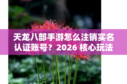 2026 核心玩法实用指南大揭秘天龙八部私服图片