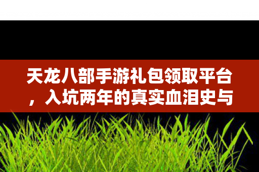 入坑两年的真实血泪史与避坑指南天龙私服图片