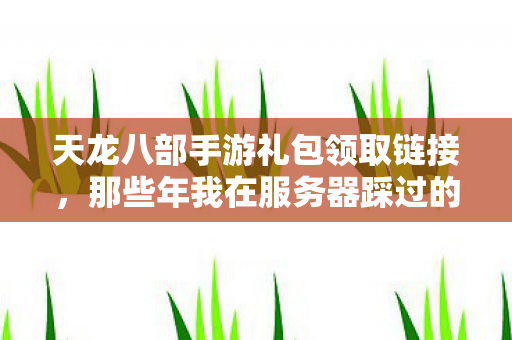 那些年我在服务器踩过的坑与摸出的野路子天龙私服图片