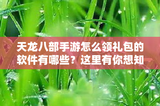 天龙八部手游怎么领礼包的软件有哪些？这里有你想知道的答案！天龙私服