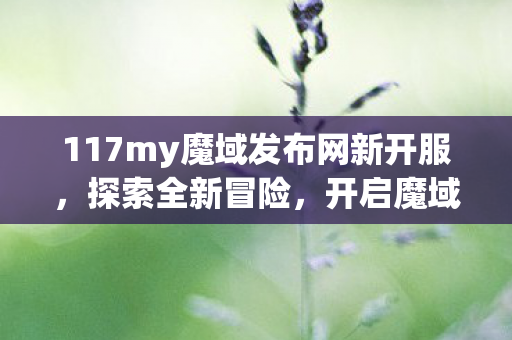 117my魔域发布网新开服图片