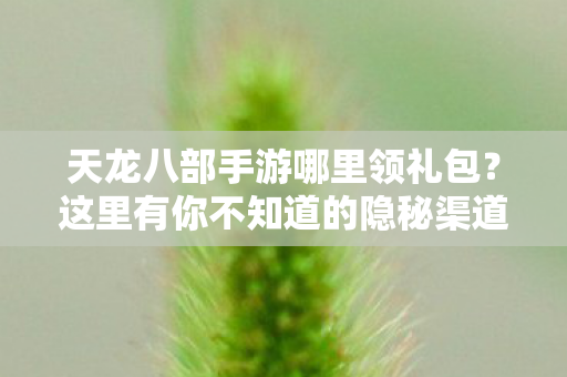 天龙八部手游哪里领礼包？这里有你不知道的隐秘渠道！天龙八部私服