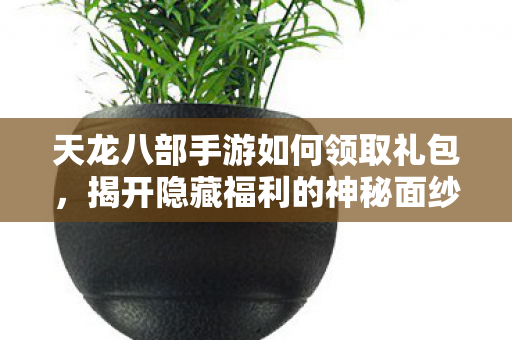 天龙八部手游如何领取礼包，揭开隐藏福利的神秘面纱天龙私服