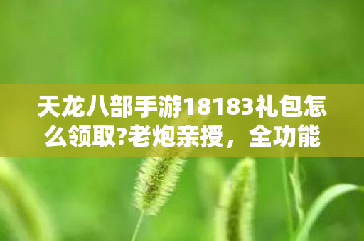 天龙八部手游18183礼包怎么领取?老炮亲授，全功能解锁，地图闭着眼走，PK乱杀秘籍天龙八部私服