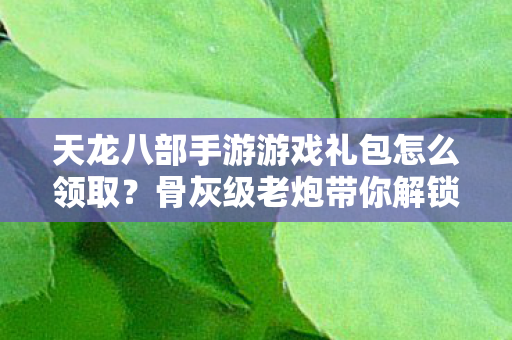 天龙八部手游游戏礼包怎么领取？骨灰级老炮带你解锁全功能，畅玩江湖！天龙私服