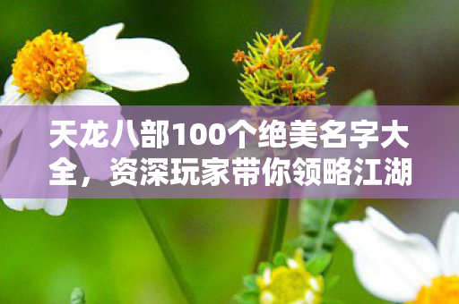 天龙八部100个绝美名字大全,资深玩家带你领略江湖风云天龙八部私服 天龙八部100个绝美名字大全,资深玩家带你领略江湖风云天龙八部私服