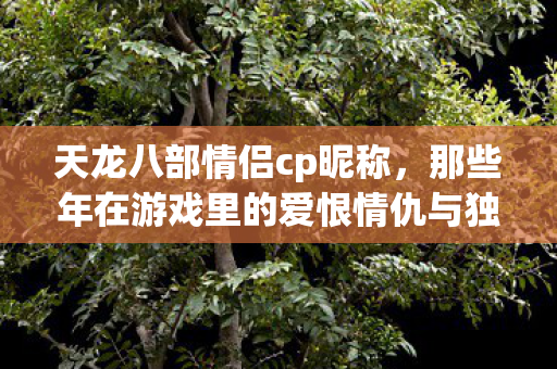 天龙八部情侣cp昵称,那些年在游戏里的爱恨情仇与独特玩法天龙八部私服 天龙八部情侣cp昵称,那些年在游戏里的爱恨情仇与独特玩法天龙八部私服