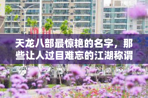 天龙八部最惊艳的名字，那些让人过目难忘的江湖称谓天龙私服