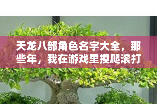 天龙八部角色名字大全,那些年,我在游戏里摸爬滚打的日子天龙私服 天龙八部角色名字大全,那些年,我在游戏里摸爬滚打的日子天龙私服