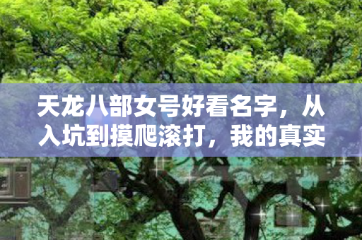 天龙八部女号好看名字，从入坑到摸爬滚打，我的真实游戏血泪史天龙私服