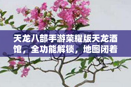 天龙八部手游荣耀版天龙酒馆,全功能解锁,地图闭着眼走,PK乱杀的骨灰级玩法天龙私服 天龙八部手游荣耀版天龙酒馆,全功能解锁,地图闭着眼走,PK乱杀的骨灰级玩法天龙私服