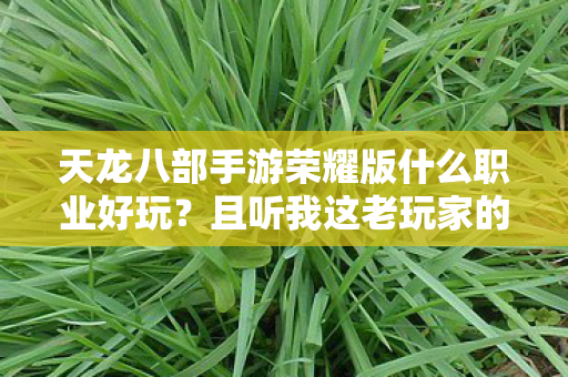 天龙八部手游荣耀版什么职业好玩？且听我这老玩家的掏心窝子话天龙八部私服