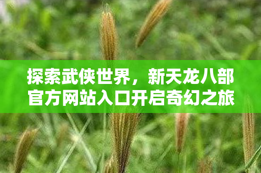 新天龙八部官方网站入口开启奇幻之旅图片