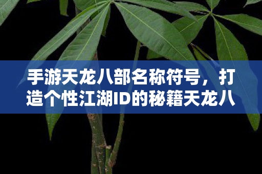 手游天龙八部名称符号,打造个性江湖ID的秘籍天龙八部私服 手游天龙八部名称符号,打造个性江湖ID的秘籍天龙八部私服