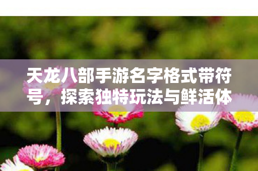 天龙八部手游名字格式带符号,探索独特玩法与鲜活体验天龙八部私服 天龙八部手游名字格式带符号,探索独特玩法与鲜活体验天龙八部私服