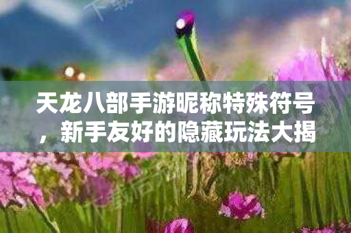 天龙八部手游昵称特殊符号,新手友好的隐藏玩法大揭秘天龙八部私服 天龙八部手游昵称特殊符号,新手友好的隐藏玩法大揭秘天龙八部私服
