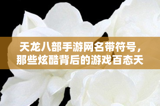 天龙八部手游网名带符号，那些炫酷背后的游戏百态天龙私服