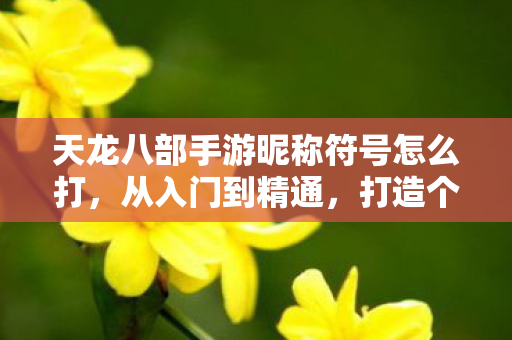 天龙八部手游昵称符号怎么打，从入门到精通，打造个性专属昵称天龙私服