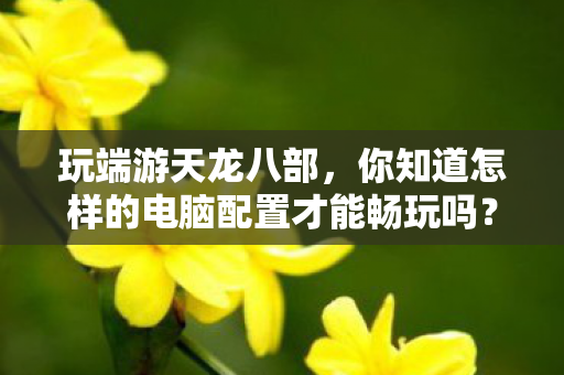 玩端游天龙八部，你知道怎样的电脑配置才能畅玩吗？天龙私服