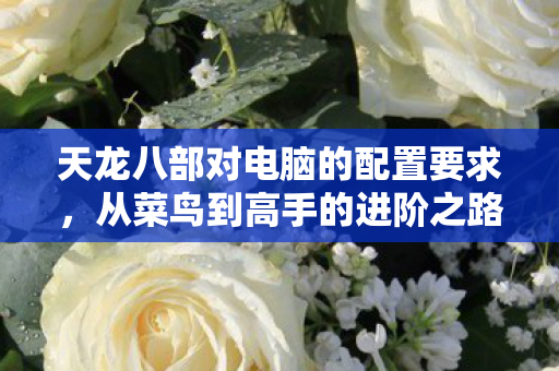 天龙八部对电脑的配置要求，从菜鸟到高手的进阶之路天龙八部私服