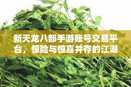 新天龙八部手游账号交易平台，惊险与惊喜并存的江湖之路天龙私服