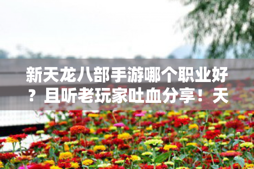 新天龙八部手游哪个职业好？且听老玩家吐血分享！天龙八部私服
