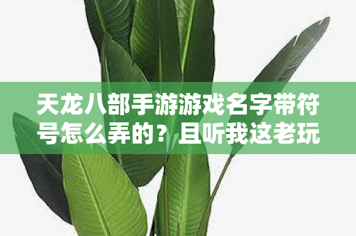 天龙八部手游游戏名字带符号怎么弄的？且听我这老玩家的掏心窝子话天龙八部私服
