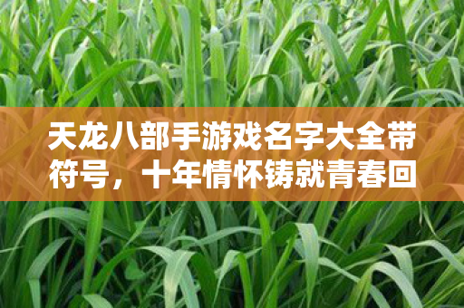 天龙八部手游戏名字大全带符号，十年情怀铸就青春回忆，实测认证带你重温经典！天龙八部私服