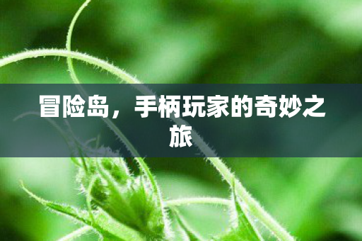 手柄玩家的奇妙之旅图片