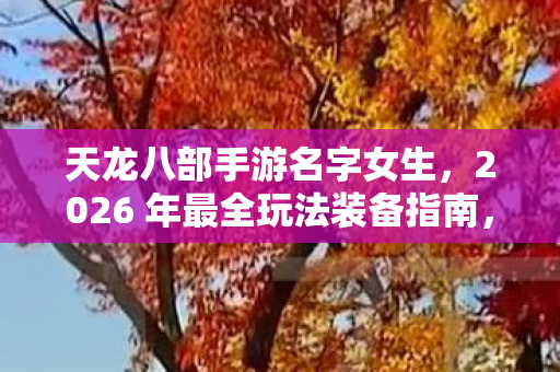 天龙八部手游名字女生，2026 年最全玩法装备指南，助你畅玩游戏！天龙八部私服