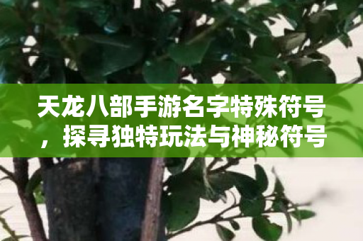 探寻独特玩法与神秘符号的深度解析天龙八部私服图片