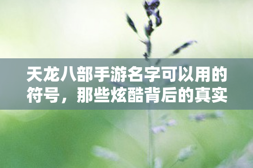 那些炫酷背后的真实体验与玩法揭秘天龙私服图片