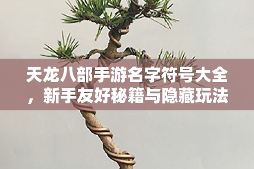 新手友好秘籍与隐藏玩法大揭秘天龙私服图片