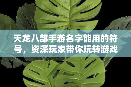 资深玩家带你玩转游戏世界天龙私服图片