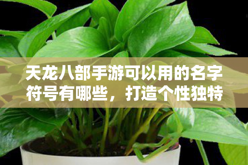 天龙八部手游可以用的名字符号有哪些图片