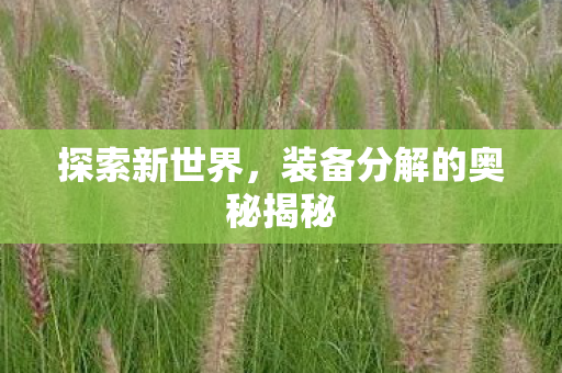 装备分解的奥秘揭秘图片