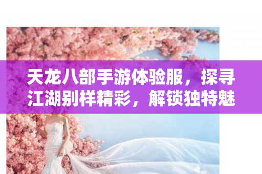 解锁独特魅力玩法天龙八部私服图片