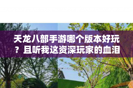 且听我这资深玩家的血泪吐槽与野路子分享天龙私服图片