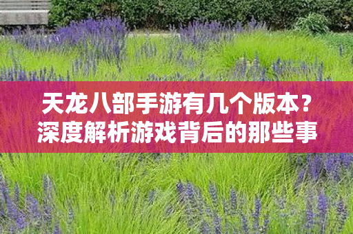 深度解析游戏背后的那些事儿天龙八部私服图片