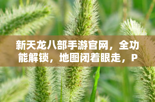 PK乱杀的骨灰级攻略天龙私服图片