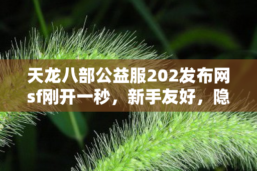 天龙八部公益服202发布网sf刚开一秒图片
