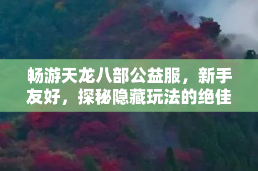 探秘隐藏玩法的绝佳之地天龙私服图片