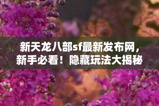 新天龙八部sf最新发布网图片