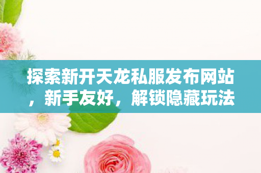 解锁隐藏玩法的神秘世界天龙私服图片